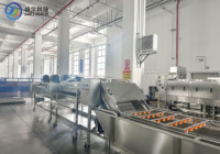 Voedselveilige SUS304 Automatische 500kg/u aardbeienwas- en drooglijn met belletjesreinigingsmachine en luchtdroger