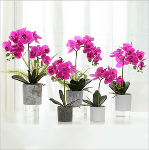<span class=keywords><strong>Orchidée</strong></span> artificielle bonsaï, 1 pièce, tactile, avec pot, fleurs pour la décoration - Product Image 1