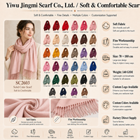 Écharpe d'hiver douce en fausse fourrure de cachemire pour femmes, châle long en pashmina avec logo personnalisé, vente en gros
