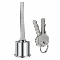 Cylindre de serrure à clé plate, noyau de serrure rond en métal avec 2 clés et barre de queue plate pour armoire, tiroir, boîte