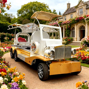 2026 Carrosse funéraire à chevaux, transport spécial, cercueil électrique, à vendre - Product Image 1