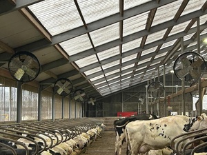 Ventilador Profesional de 38 Pulgadas para Granjas, Montado en la Pared, con Impulsor Curvo hacia Adelante y Rodamientos de Bolas, para Edificios Agrícolas y Gallineros - Product Image 4