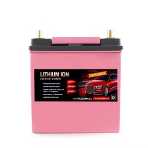 Batterie de démarrage au lithium-ion A123 40B19 12V 20AH 700CCA avec de grandes performances pour les véhicules, cellule Lifepo4 - Product Image 2