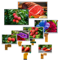 OEM TFT LCD 4.3 5 5.5 7 8 9 10.1 pouces Mipi MCU RGB petits modules d'affichage à écran tactile LCD Ips