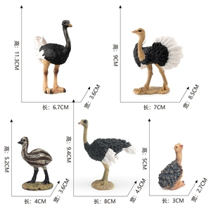 Jouets cognitifs pour enfants, modèles d'animaux en PVC, poussins d'autruche africains et australiens, décorations d'élevage avicole - Product Image 4