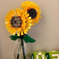 Juego de Bloques de Construcción de Flores DIY, Bloques de Construcción de Rosas Eternas, Regalo de San Valentín, Juguete de Plástico de Ensamblaje Creativo para Niños