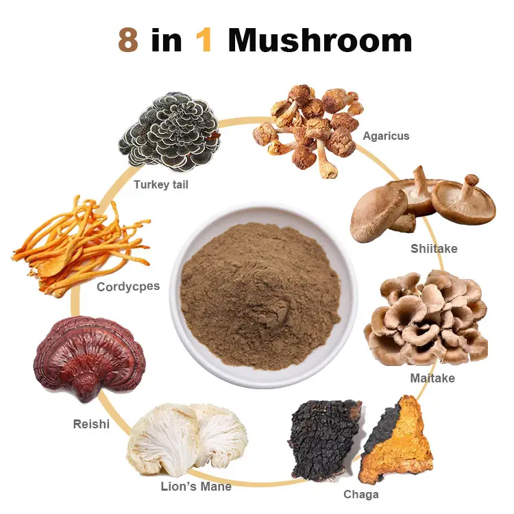 8 in 1 버섯 분말 라이온스 갈기, Reishi, 동충하초, 차가, 표고 버섯, Maitake, 터키 꼬리, 유기 버섯 추출물 분말