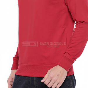 Sweat-shirt à capuche épais en coton 100% uni, col rond, personnalisé, brodé, streetwear, luxe, pour hommes - Product Image 1