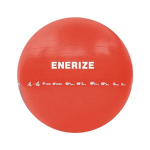 Ballon d'exercice antidérapant personnalisé 25cm 55cm 65cm 85cm Ballon de gymnastique <span class=keywords><strong>75</strong></span> <span class=keywords><strong>cm</strong></span> pour l'entraînement de l'équilibre - Product Image 1