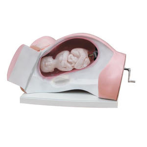 Colegios médicos y escuelas de enfermería Modelo de trabajo normal de <span class=keywords><strong>curso</strong></span> de parto - Product Image 6