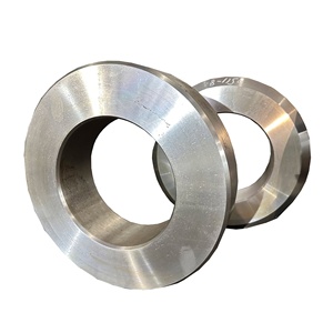 Vĩnh cửu ds2500 rèn vòng hoặc Duplex thép không gỉ <span class=keywords><strong>F51</strong></span> (2205/s31803/1.4462/00cr22ni5mo3n) mặt bích với chống ăn mòn od1000 - Product Image 3