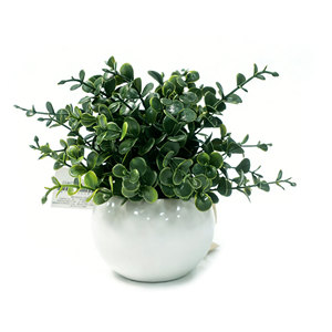 Petites plantes artificielles d'<span class=keywords><strong>eucalyptus</strong></span> <span class=keywords><strong>en</strong></span> <span class=keywords><strong>pot</strong></span> de céramique, fausse <span class=keywords><strong>terre</strong></span>, fausses plantes <span class=keywords><strong>pour</strong></span> étagère, bureau, maison, salle de bain, table basse, décoration - Product Image 1