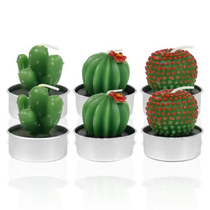 Bougies chauffe-plat Cactus Coffret cadeau <span class=keywords><strong>Bougie</strong></span> en forme de plante succulente mignonne faite à la main sans fumée pour la fête - Product Image 3
