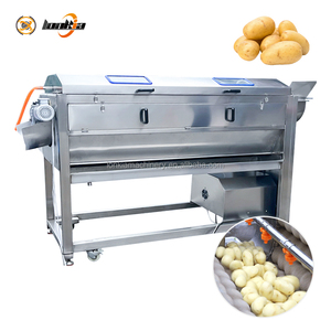 Machine à éplucher les légumes et fruits, éplucheuse-laveuse, capacité 800 kg/h, éplucheuse à brosses pour pommes <span class=keywords><strong>de</strong></span> terre - Product Image 5