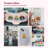Eizoulyn Proctored Hochwertiges benutzer definiertes Logo v Tischplatte Tragbarer UV-Dtf-Drucker 12 Zoll Günstiger UV-kleiner 30-cm-Dtf-Drucker
