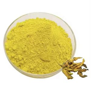 Barberry tự nhiên Bột Rễ cung cấp số lượng lớn <span class=keywords><strong>berberis</strong></span> vulgaris bột chiết xuất barberry chiết xuất - Product Image 2