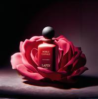 Flacon de parfum atomiseur de style vintage 30ml 50ml 100ml, flacon de parfum en verre vide étanche, emballage de luxe avec couvercle magnétique