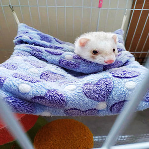 Pet çevre dostu peluş kış uyku tulumu sıcak hamak klasik kare el yıkanabilir katı şeker Gliders gelincikler küçük hayvanlar - Product Image 3