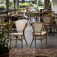 Chaise de salle à manger en plastique de style parisien, durable, pour l'extérieur, idéale pour les parcs, les cours et les lieux commerciaux.