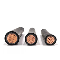 0.6/1kv Cu/xlpe/sta/pvc 10mm 16mm 25mm 35mm 50mm 70mm 95mm 120mm 185mm 240mm Câble blindé à un noyau Prix