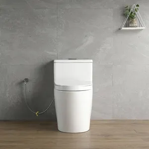 Einteiliges Badezimmer Keramik Set Sitz Wc Toiletten Tragbare Sanitär spülung Wasser Bidet Chinesische Spüle Schwerkraft Squat Cover Toilette