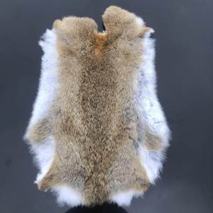 Peaux de lapin Rex de qualité supérieure - Peaux de lapin Rex véritables à toucher soyeux et haute densité - Product Image 6