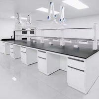 Meuble de laboratoire médical moderne en acier pour usage clinique-pour les écoles, les hôpitaux et les postes de travail avec bancs latéraux