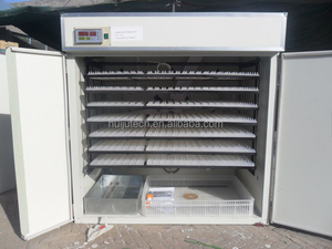 Fully Automatic Electric <strong>Hatching</strong> <strong>1848</strong> Chicken <strong>Egg</strong> <strong>Incubator</strong> IH1848 - Product Image 5