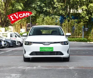 Hot-bán 2024 VM động cơ E5 xe điện/Sedan với dài phạm vi sạc, không gian rất lớn và không phải là rất cao giá