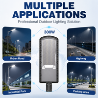 Luminaire LED routier de qualité professionnelle pour entrepreneurs municipaux, 300W, pour autoroute et terminal logistique