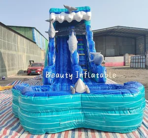 Novo design corrediça de água inflável com piscina para golfinhos à venda