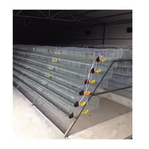 Quail farm equipment layer quail cage 200-300 quails breeding cage