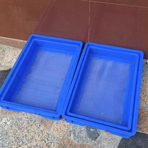 New 800*600*190mm Bsf Larvae Farming Food Safe PP <strong>Polypropylene</strong> Plastic Insect Breeding Tray <strong>Box</strong> <strong>Manufacturer</strong> the Production - Product Image 3
