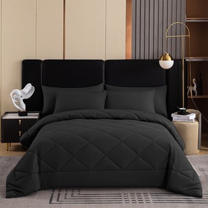 Nữ Hoàng hiện đại sợi nhỏ Comforter thiết lập với 2 trường hợp Gối-3 mảnh tất cả các mùa mềm dệt xuống thay thế Comforter - Product Image 2