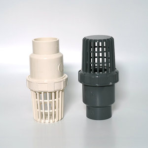 Válvula de Retención de PVC Tipo Canasta Miniatura Anti-Reflujo para Sistema de Tuberías de Agua - Product Image 2