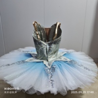 Nouveaux Costumes de conception classique dégradés attrayants de Tutu de ballet de Performance haut de gamme professionnels