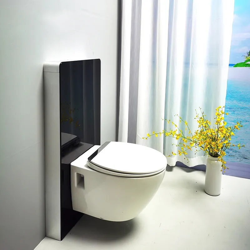 Toilet tersembunyi tangki air seluruh set tempered glass flushing wc tangki air