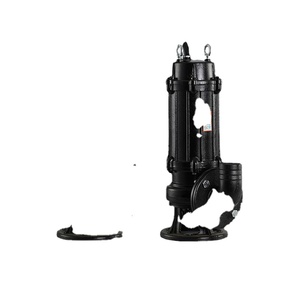 <b>Submersible</b> <b>Pump</b> 220V Stainless Steel Dirty Water <b>Pump</b> Sewage Waste Water <b>Submersible</b> <b>Pump</b> Water Dirty - Product Image 1