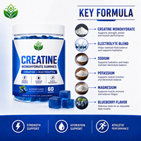 Gommes de créatine monohydrate avec électrolytes, saveur myrtille, 60 unités