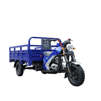Tricycle motorisé à 3 roues à essence 200cc, démarrage électrique, 5 vitesses, capacité de charge de 400 kg, vitesse de 50-70 km/h, certifié EEC