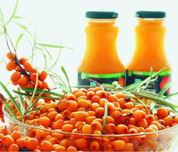 Turnkey Natuurlijke Duindoorn Vers Fruit Pulp Maken Machine Nfc Sap Productielijn Fabriek Fabriek Automatische