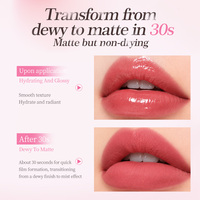Rouge à lèvres liquide mat longue tenue de haute qualité à marque privée, haute pigmentation, à base de plantes, waterproof, hydratant, 7 couleurs