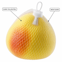 Décoration de Fruits Artificiels en Mousse Souple à Presser, Façon Pomelo, Filet en Maille, Jaune Soleil, Agrumes, Jouets Squishy pour la Maison, la Cuisine et la Table