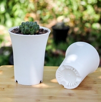 Pot de fleur de plante succulente en plastique rond épais d'approvisionnement d'usine à vendre ou à la décoration intérieure