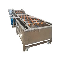 Línea de Procesamiento de Patas de Pollo Eléctrica / Máquina de Lavado de Patas de Pollo / Máquina de Limpieza de Patas de Pollo
