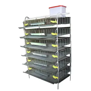 Poultry quail equipments layer quail cage with automatic feeder