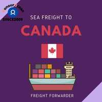 Assurance de fret maritime Shenzhen Honor Ocean Shipping, expédition rapide, livraison porte-à-porte, suivi en temps réel CA