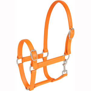 Impermeable personalizar Hardwar Turnout Draft Horse Cabestro PVC Nylon acolchado personalizado Pony <span class=keywords><strong>Pet</strong></span> proveedor Halter con ajuste - Product Image 2