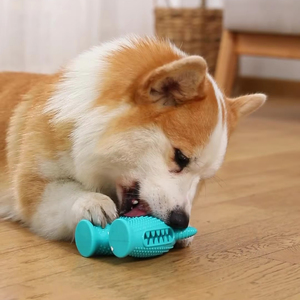 Yeni <span class=keywords><strong>Pet</strong></span> köpek diş değirmeni küçük canavar ses oyuncak köpek diş fırçası köpek Bite dayanıklı kolay temiz oyuncaklar. - Product Image 4