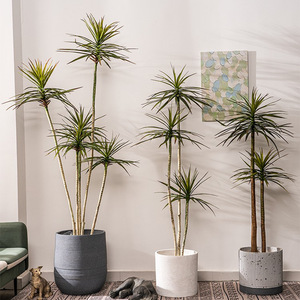 Thân Thiện Với Môi Nhựa Hẹp-Lá Agave Rồng Của Máu Cây Màu Xanh Lá Cây Cây Nhân Tạo Cảm Ứng Tự Nhiên Phục Sinh - Product Image 1